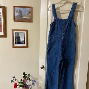 aerie Light Blue Denim Overalls